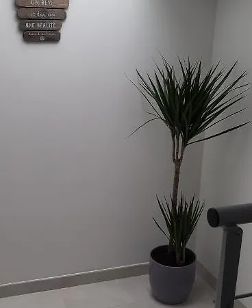 Le Beluga Nantes Aeroport Holiday home