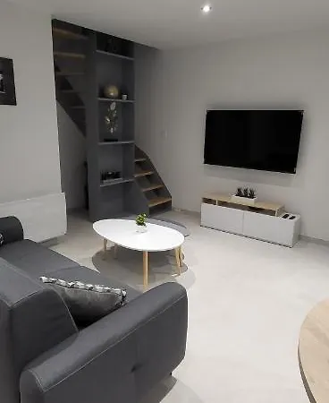 Le Béluga Aéroport Nantes Rezé