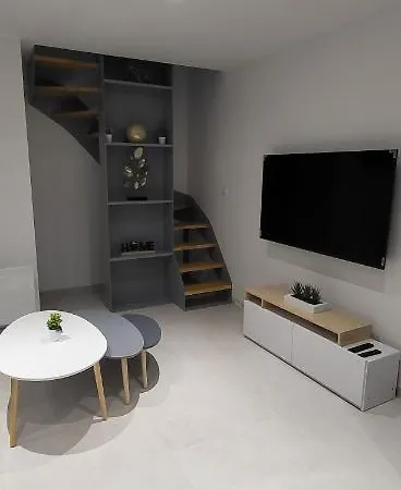 Le Béluga Aéroport Nantes Rezé