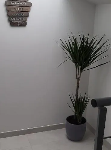 Le Béluga Aéroport Nantes Rezé Hébergement de vacances