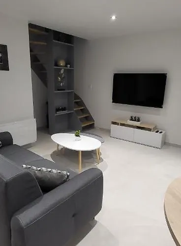 Le Béluga Aéroport Nantes Rezé