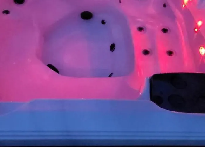 Le Béluga Aéroport Nantes Rezé *