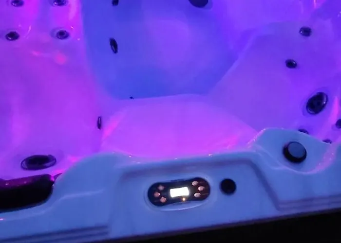 Le Béluga Aéroport Nantes Rezé